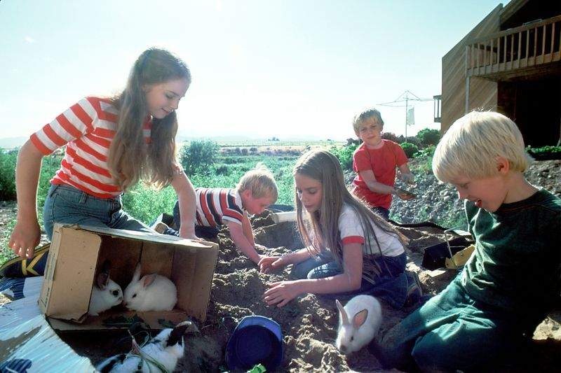 FamilieService Danmark - Image 13